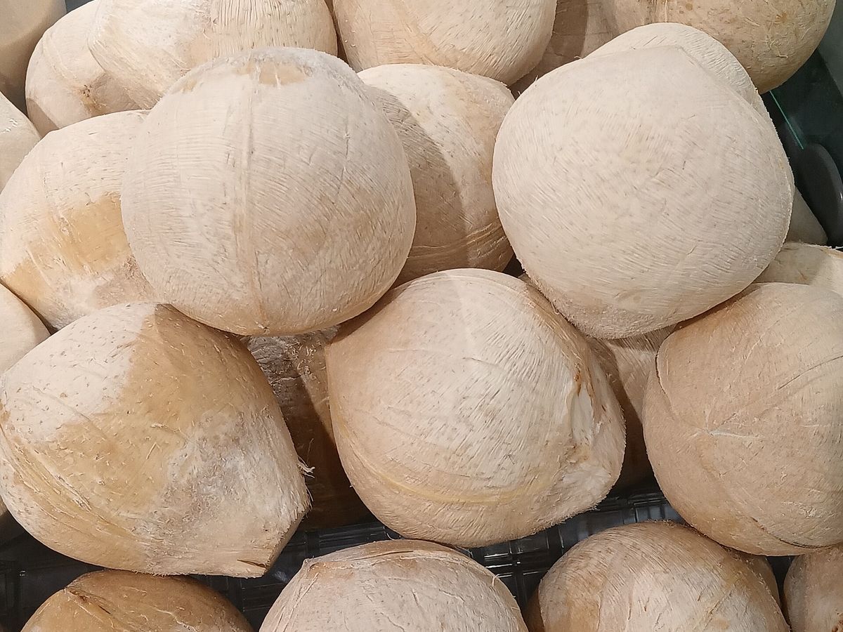 Coconut Water Powder