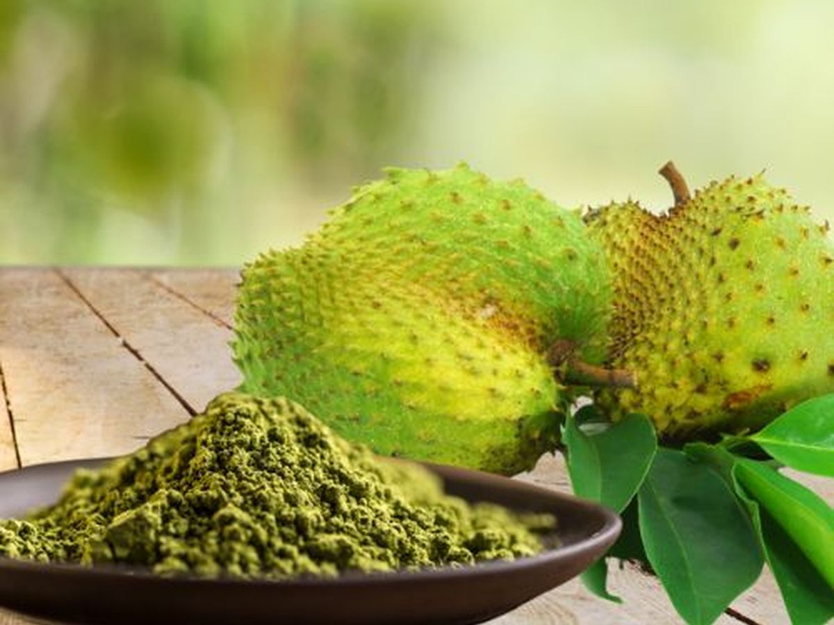 Graviola Leaf Powder 60 Mesh