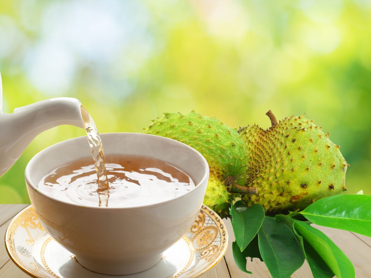 Soursop fruit and graviola tea