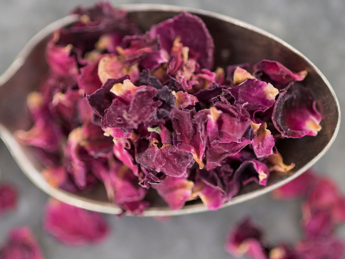 Dried red rose petals